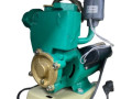 Помпа PDL 250 A 250W
