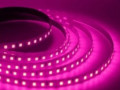 Лента LED 12v 5м розовая