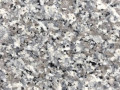 Гранит CGS-018-09 Talia Grey Granite 60*60 матовый