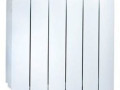 Радиатор TRIUMF THERMO биметал 9016 белый 6секций