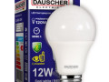 Лампочка DAUSCHER 12W Е27 6500К A60 LED