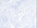 Плитка TWU07URL003 249*364 Ural 17шт 1,54квм