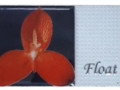 Бордюр Flover 6*30 пр-во Китай