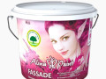 Краска водоэмульсионная Alina Paint Fassade 15кг
