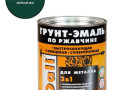 Грунт эмаль по ржавчине DALI зеленый мох 0.75л