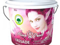 Водоэм Alina Paint Fassade 3кг (фасадная,атмосферостойкая,всесезонная)